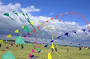 PENVINS 2012 - 0292